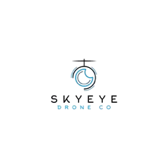 SkyEye Logo